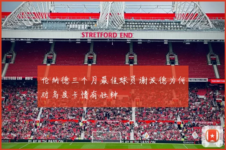 伦纳德三个月最佳球员谢泼德为何对乌度卡情有独钟