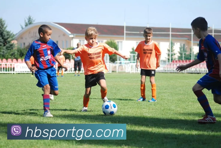 黑白体育APP 高清赛事图